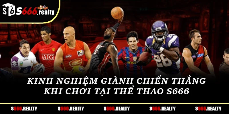 Kinh nghiệm giành chiến thắng khi chơi tại thể thao S666