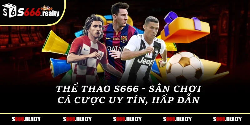 Thể thao S666 - Sân chơi cá cược uy tín, hấp dẫn